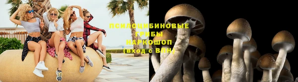 сатива Абинск