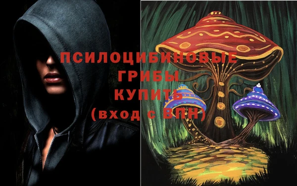 амфетамин Алексеевка