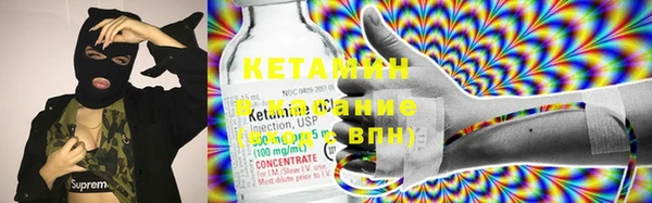шишки Покачи