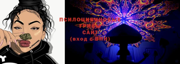 МДПВ Алзамай